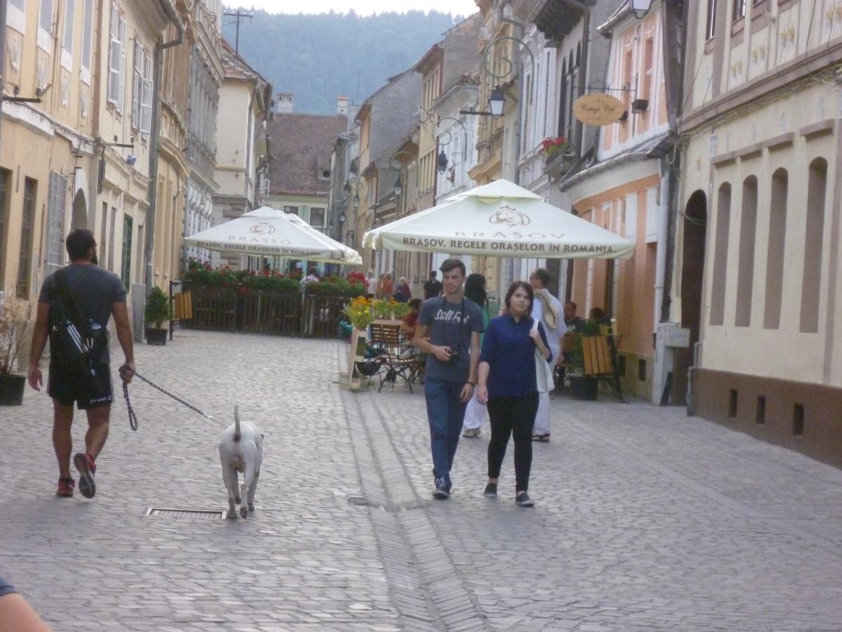 Guesthouse Postavarului Braşov Esterno foto