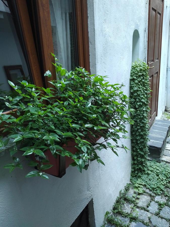 Guesthouse Postavarului Braşov Esterno foto